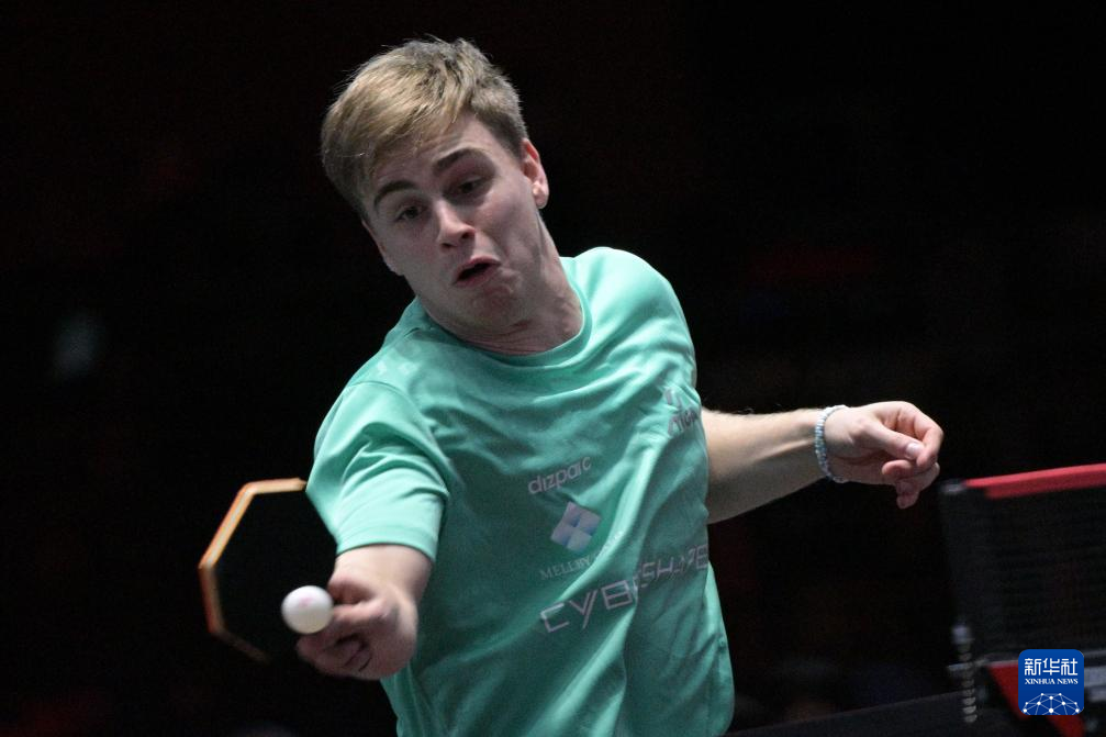 卫往往两翼 卫往往两翼